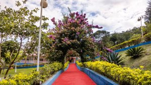 Leia mais sobre o artigo Como Funciona a Internação com Plano Unimed na Clínica Restituindo Vidas: Etapas e Orientações