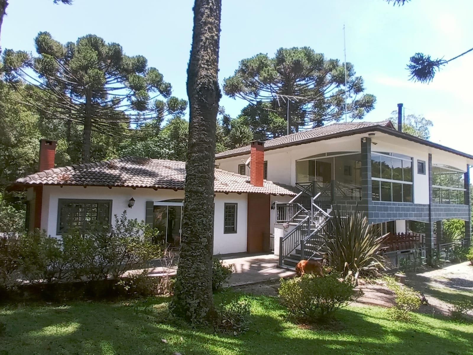 No momento, você está visualizando Clínica de Recuperação em Pedro Leopoldo MG com Convênio Bradesco Saúde: Tratamento, Internação e Atendimento em Toda Grande Belo Horizonte